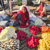 India Block Printing Tour 2027: 4th - 14th October