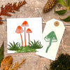 The Crafty Lass- Moss Mounds
