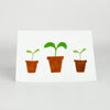 The Crafty Lass - Pot & Sprig