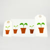 The Crafty Lass - Pot & Sprig