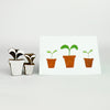 The Crafty Lass - Pot & Sprig
