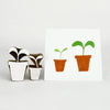 The Crafty Lass - Pot & Sprig