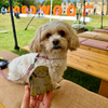 Lovely Lydia Collaboration- Fluffy Pup