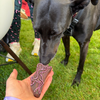 Lovely Lydia Collaboration- Greyhound / Whippet
