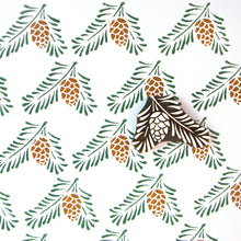  Fern and Pinecone