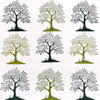 Tree on Hill