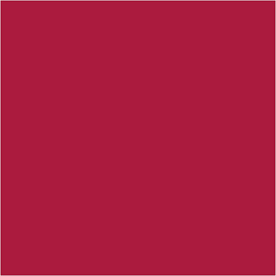 250ml Acrylic Paint - Crimson Red