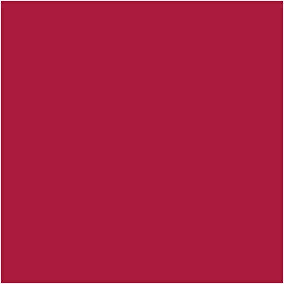 250ml Acrylic Paint - Crimson Red