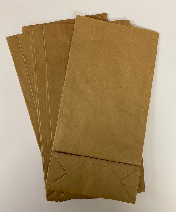 Pack of 10 Brown Paper Gift Bags