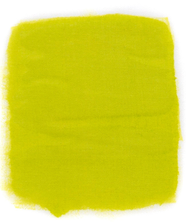 Kiwi Fabric Paint The Indian Block Print Co.