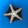 Indian Wooden Printing Block - Large Starfish