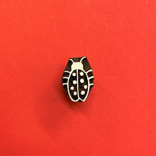  Long Lady Bird