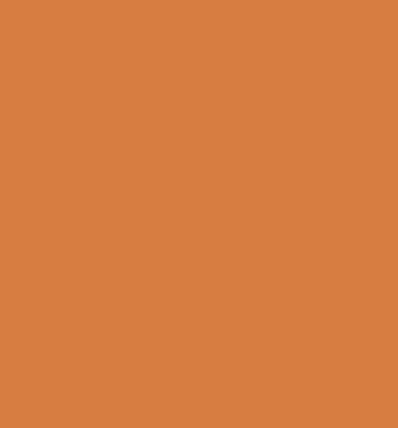 250ml Acrylic Paint - Orange