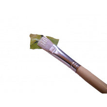  Standard Brush