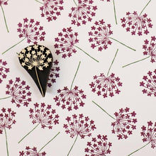  Thin Blossom Seedhead